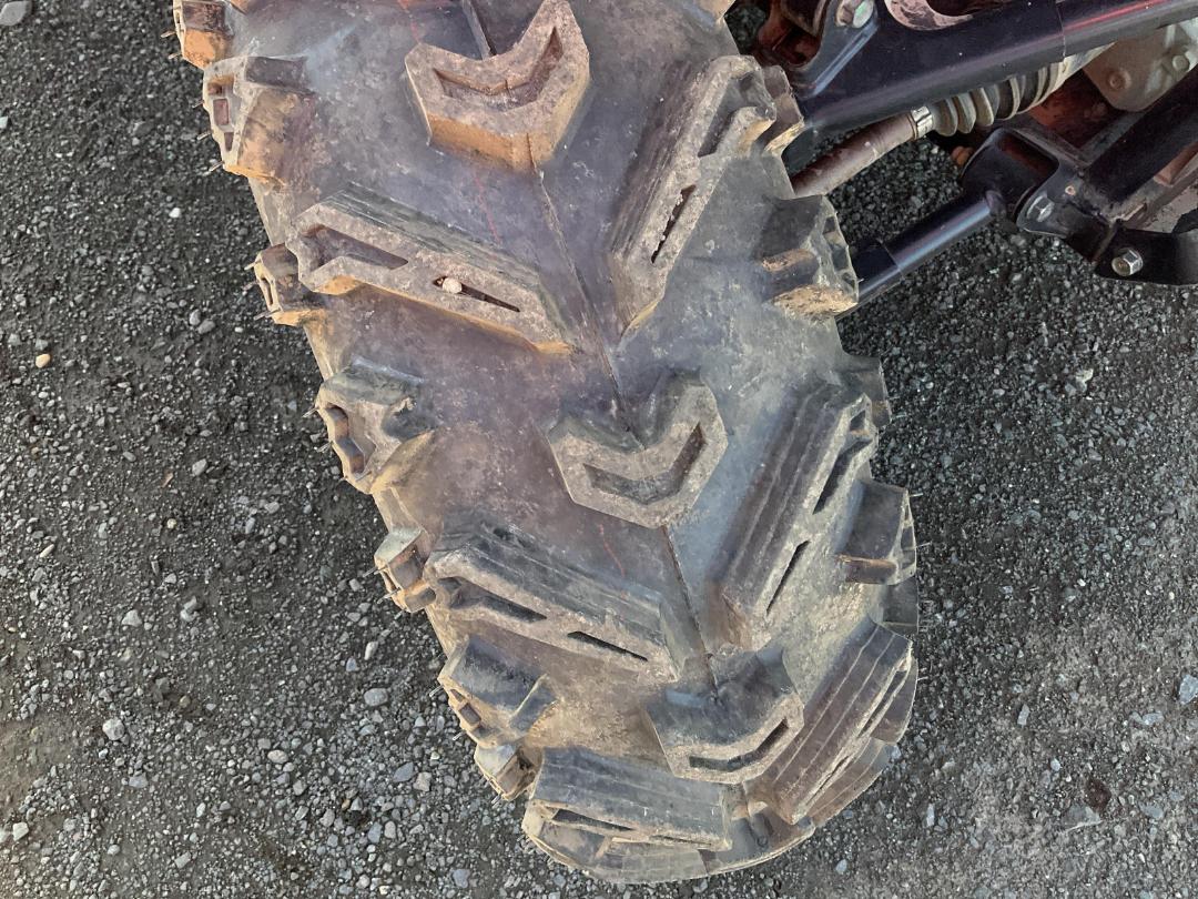 Photo '25' of Honda Pioneer SXS500M2