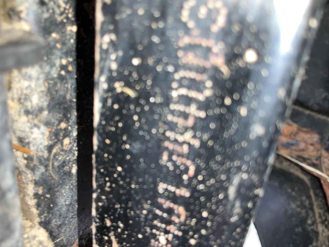 Photo '10' of Honda TRX500 Photo '10' of Honda TRX500