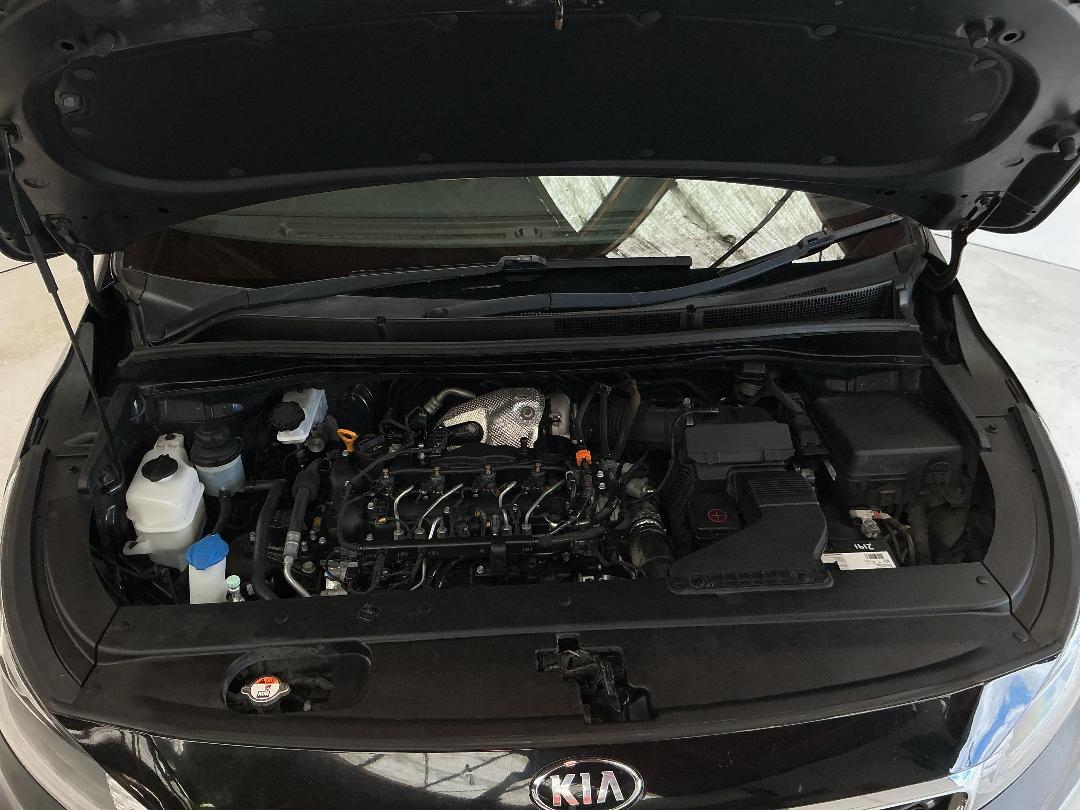 Photo '13' of KIA Carnival