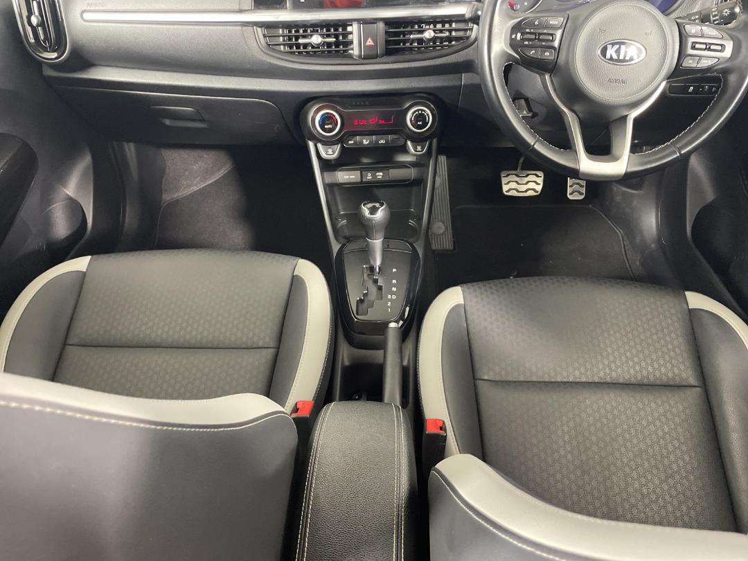 Used KIA Picanto XLine 2019 North Shore at Turners Cars 26337831 Turners