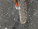 Thumbnail '17' of KTM 350 EXCF Thumbnail '17' of KTM 350 EXCF