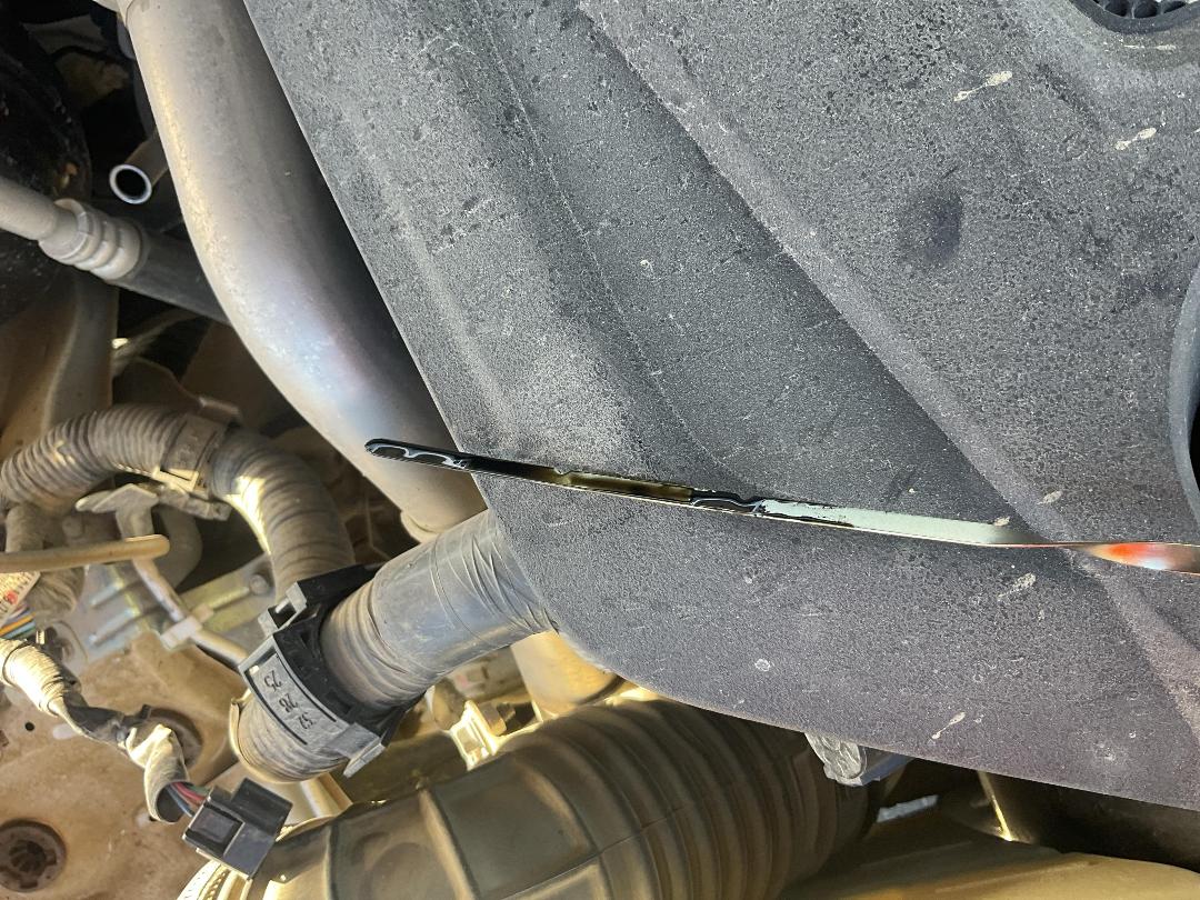 Photo '9' of Nissan Navara ST