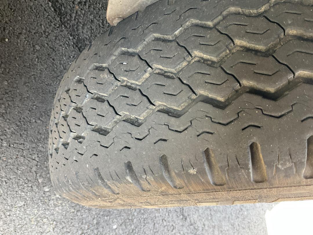 Photo '19' of Pinto Trailer Plant Trailer - Tandem