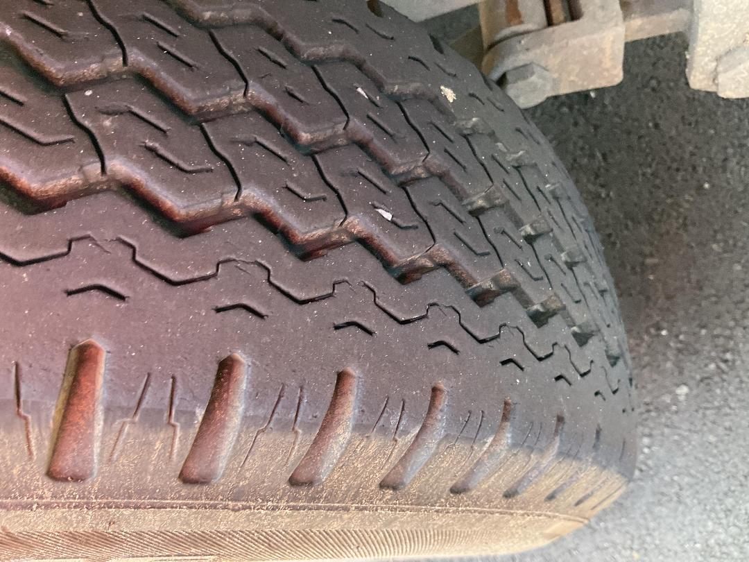 Photo '18' of Pinto Trailer Plant Trailer - Tandem