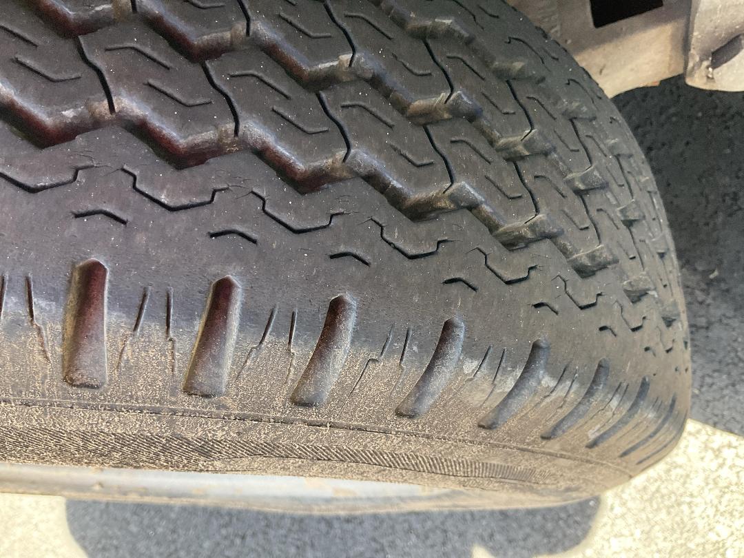 Photo '20' of Pinto Trailer Plant Trailer - Tandem