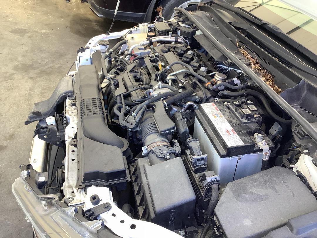 Photo '15' of Toyota Corolla GX