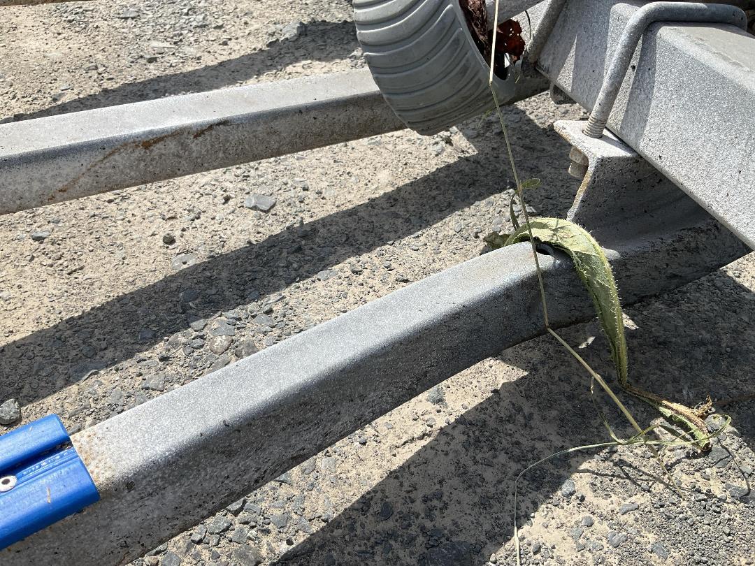 Photo '15' of TRAILER EPIC Boat - Single