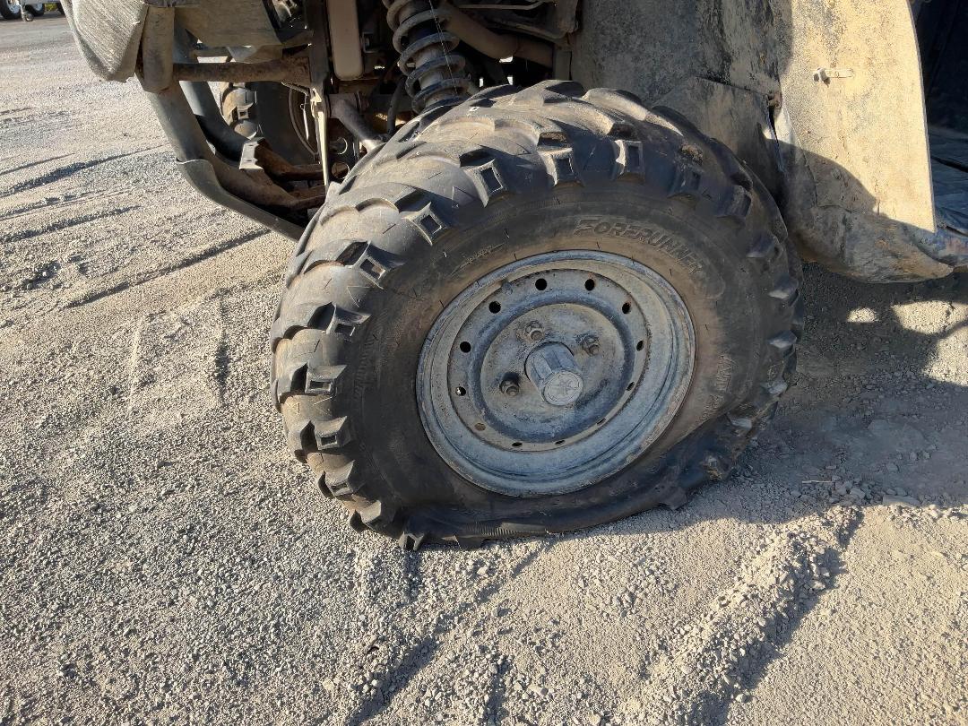 Photo '14' of Yamaha Viking