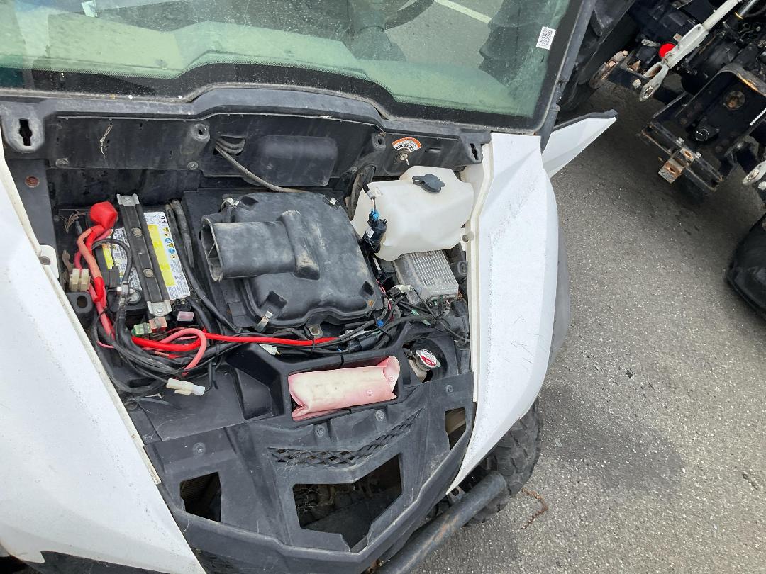 Photo '8' of Yamaha Wolverine