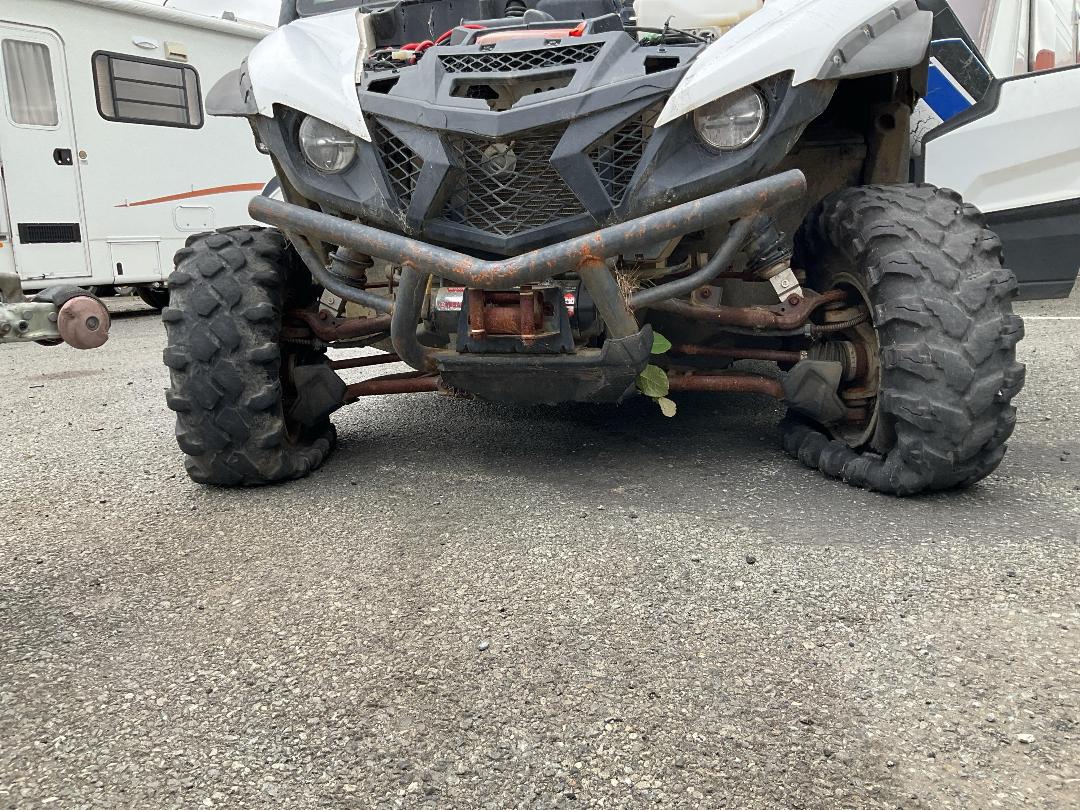 Photo '9' of Yamaha Wolverine