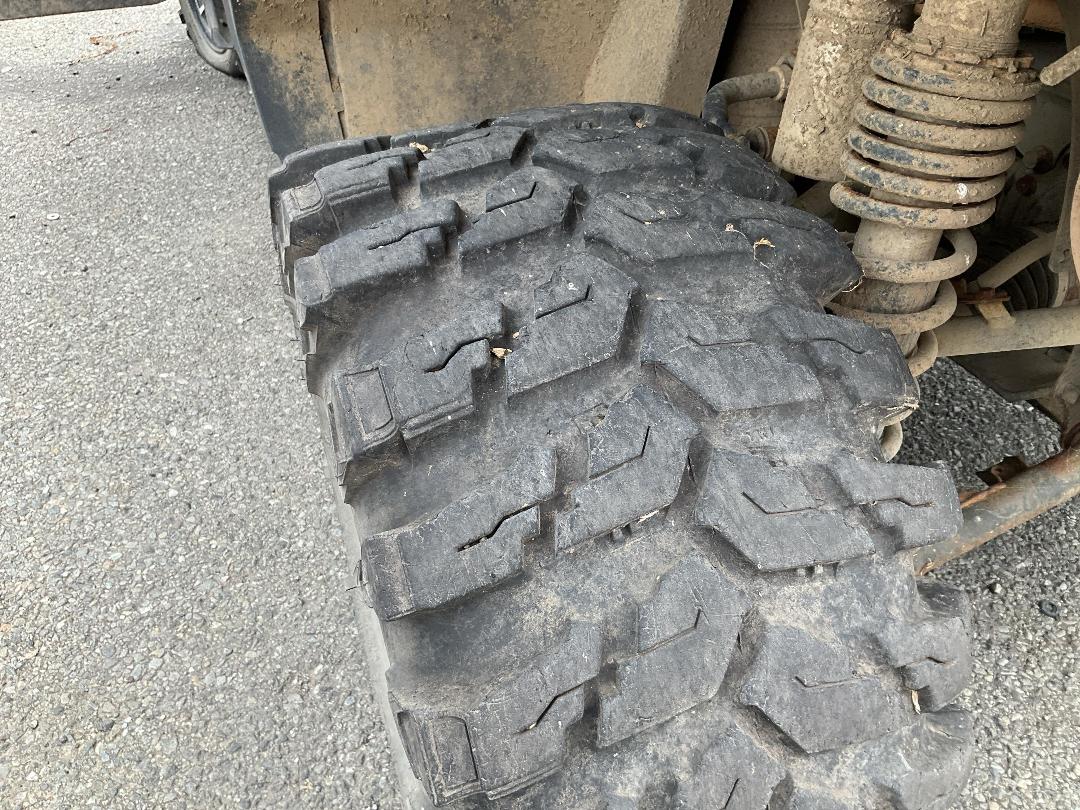 Photo '11' of Yamaha Wolverine