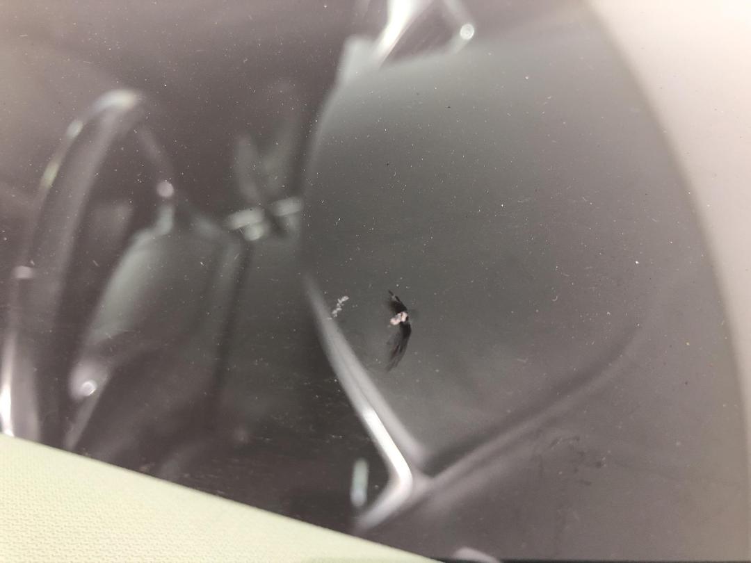 Photo '25' of Ford Endura Photo '25' of Ford Endura