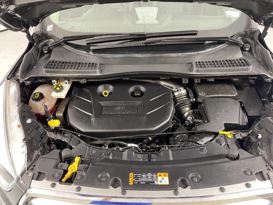 Photo '13' of Ford Escape