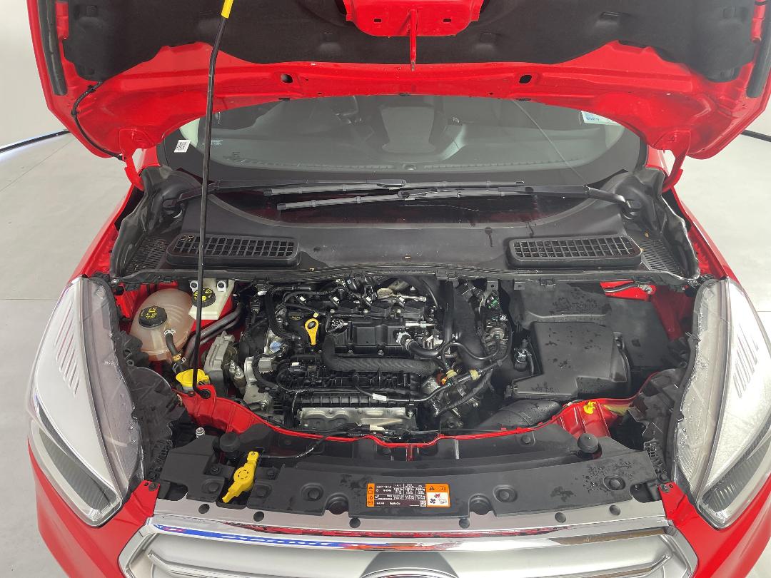 Photo '13' of Ford Escape