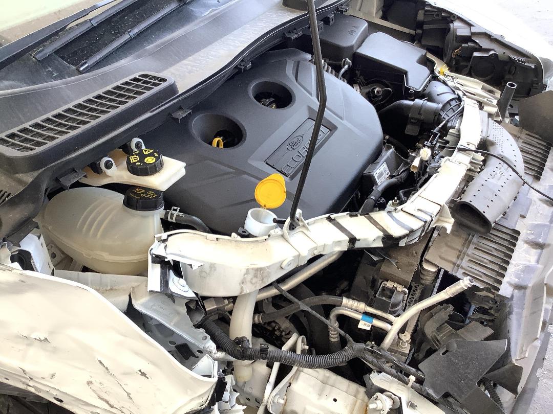 Photo '12' of Ford Escape Trend AWD Petrol