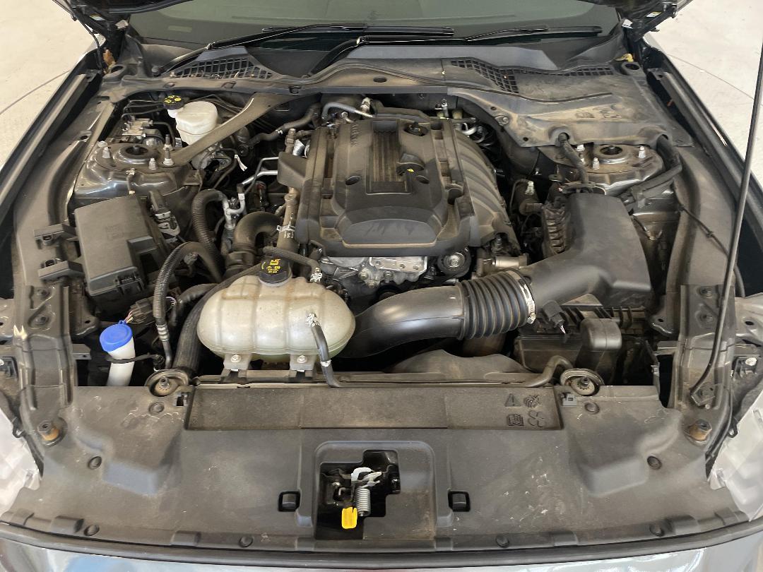 Photo '13' of Ford Mustang Photo '13' of Ford Mustang