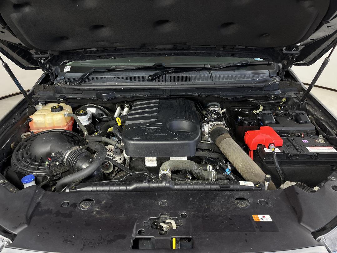 Photo '13' of Ford Ranger