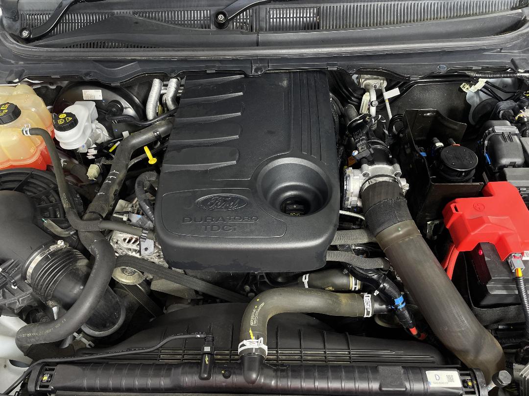 Photo '13' of Ford Ranger