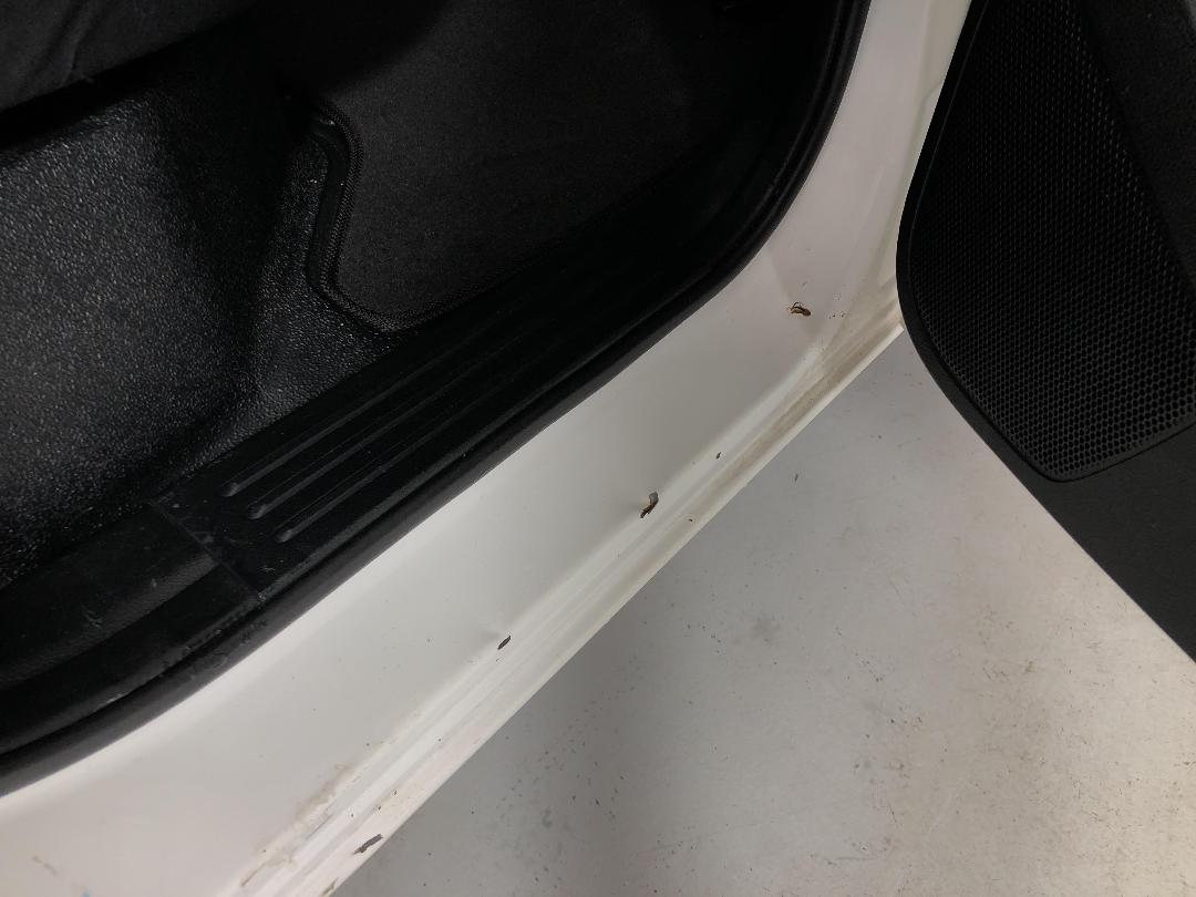 Photo '23' of Ford Ranger