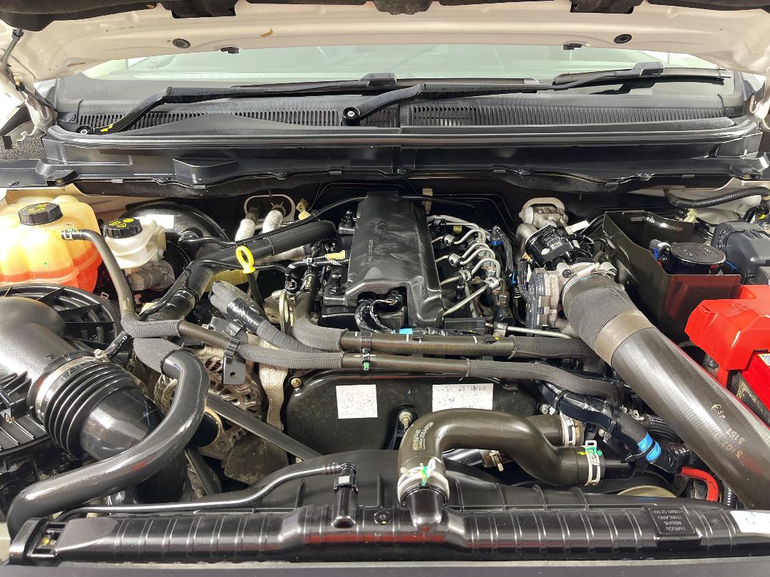 Photo '13' of Ford Ranger