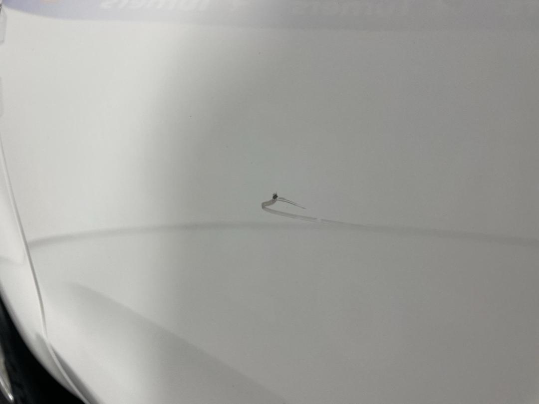 Photo '32' of Ford Ranger