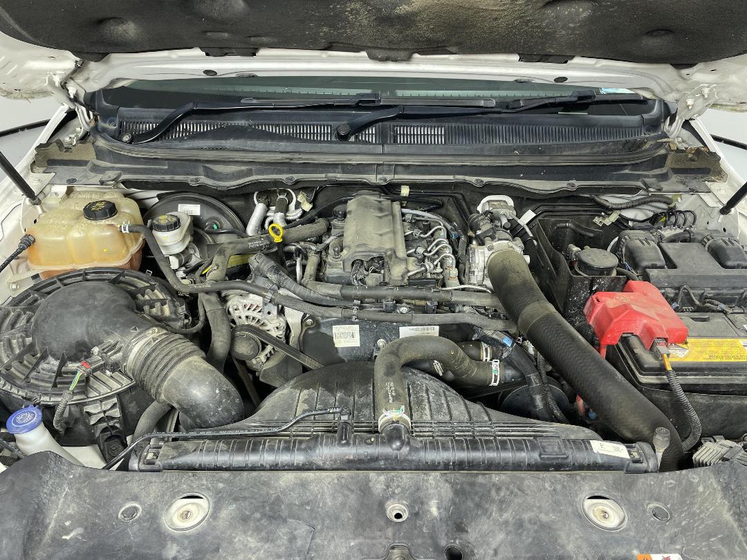 Photo '13' of Ford Ranger