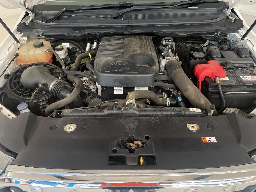 Photo '13' of Ford Ranger