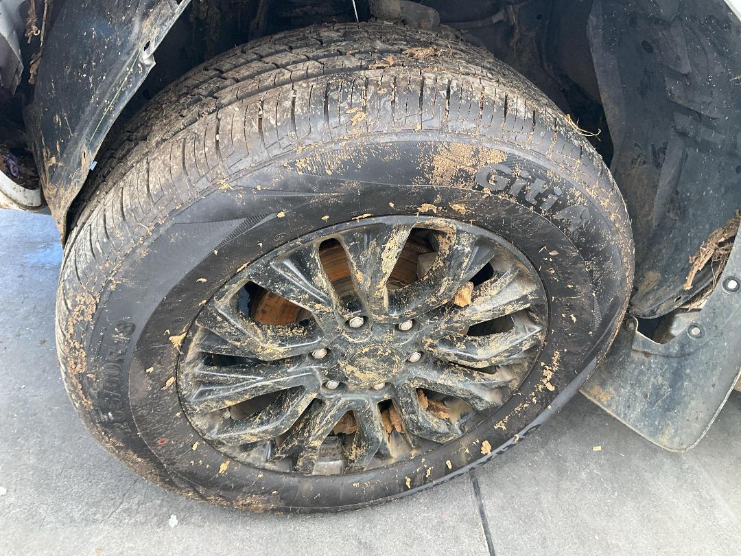 Photo '6' of Ford Ranger FX4 Double CAB W/S Photo '6' of Ford Ranger FX4 Double CAB W/S