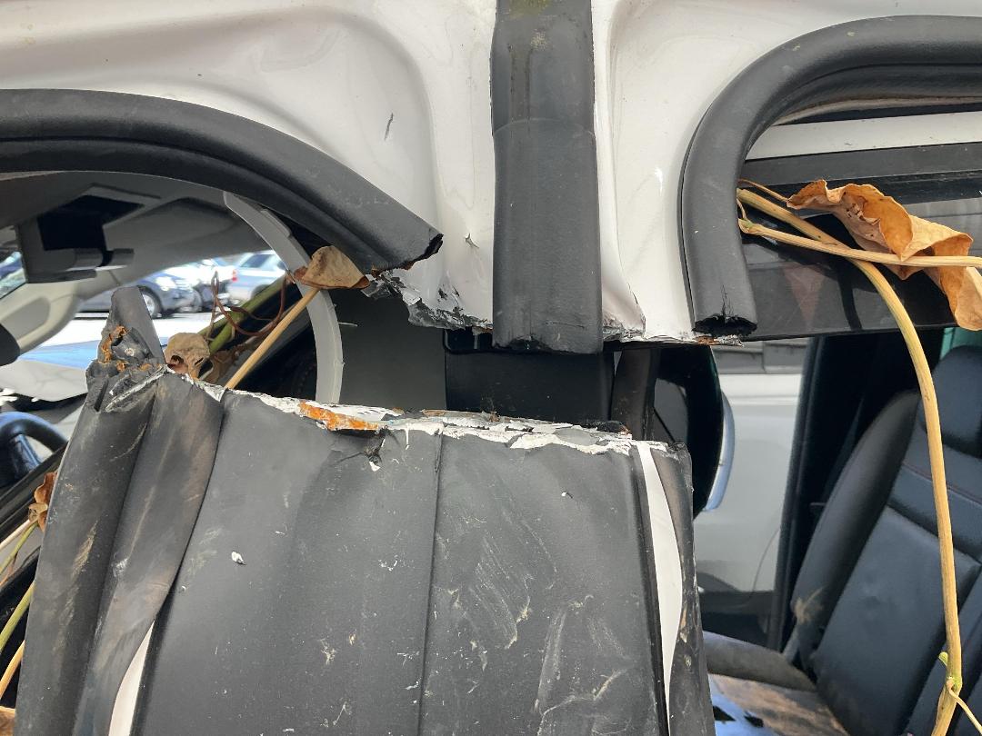 Photo '10' of Ford Ranger FX4 Double CAB W/S Photo '10' of Ford Ranger FX4 Double CAB W/S