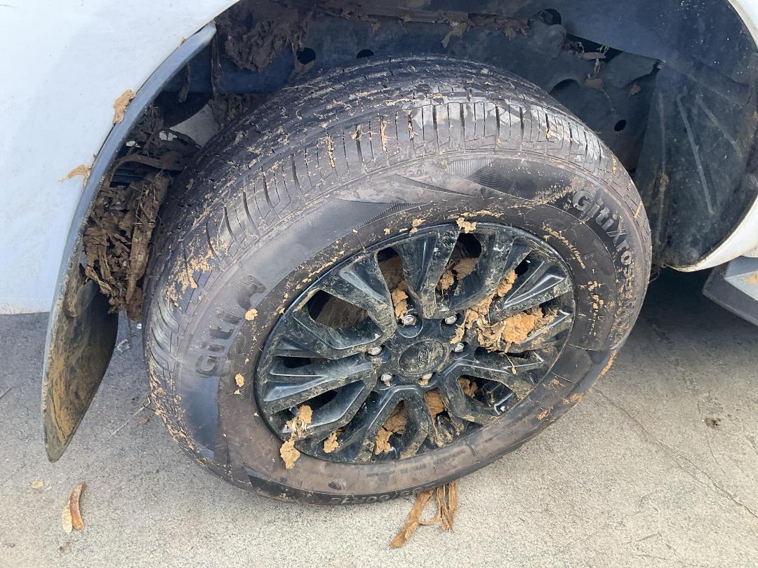 Photo '18' of Ford Ranger FX4 Double CAB W/S Photo '18' of Ford Ranger FX4 Double CAB W/S