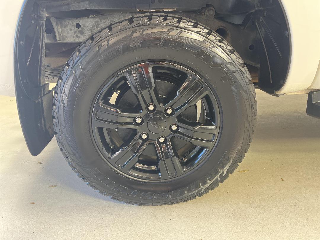 Photo '12' of Ford Ranger