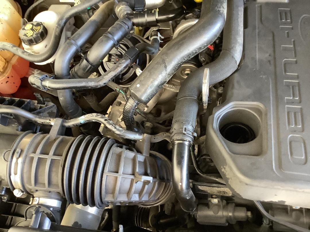 Photo '14' of Ford Ranger Wildtrak