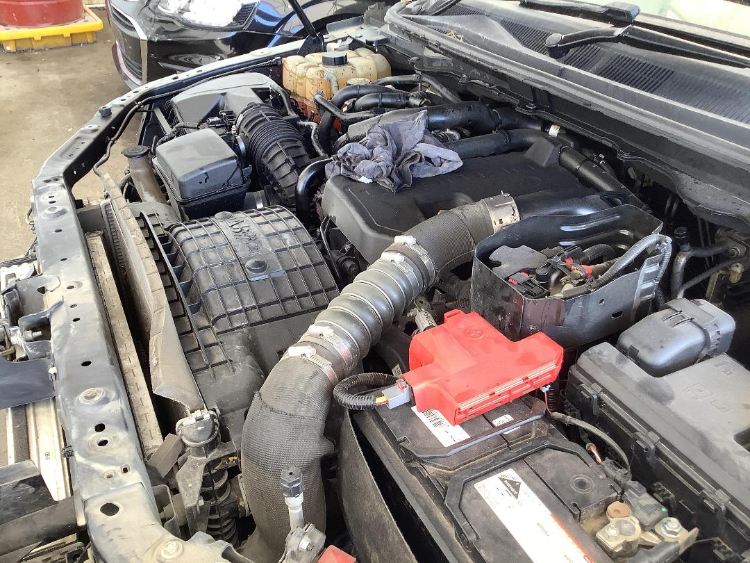 Photo '15' of Ford Ranger Wildtrak