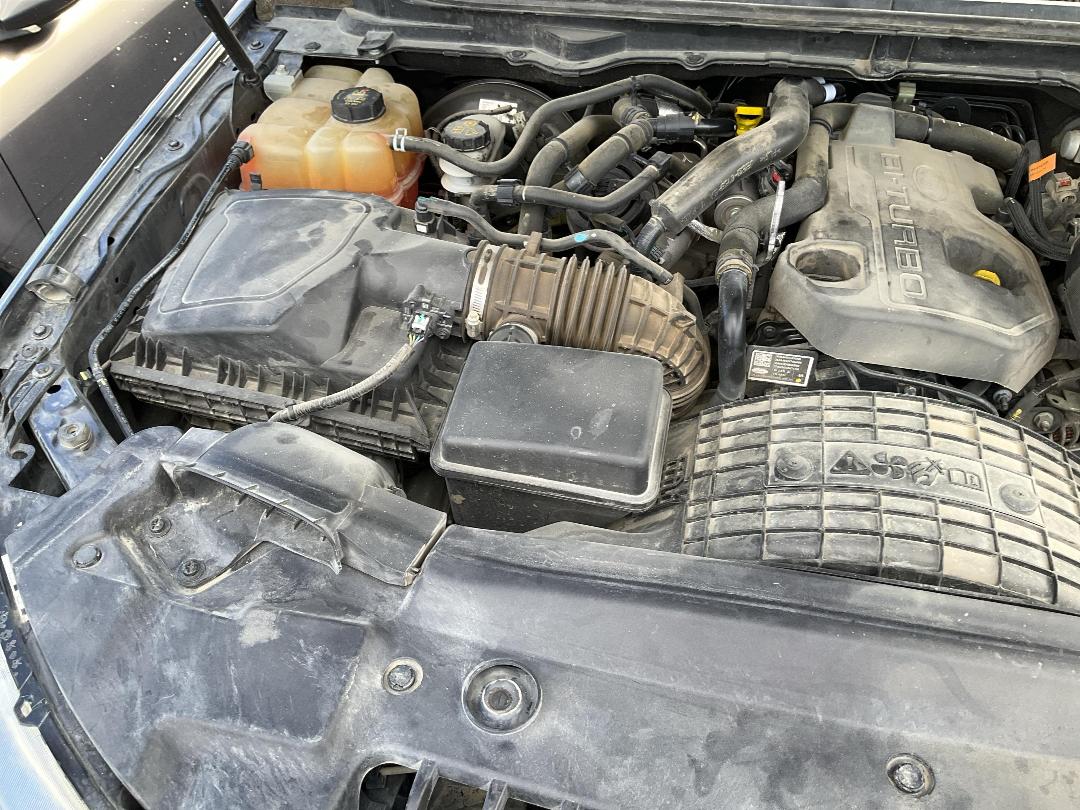 Photo '12' of Ford Ranger FX4 Double CAB W/SA