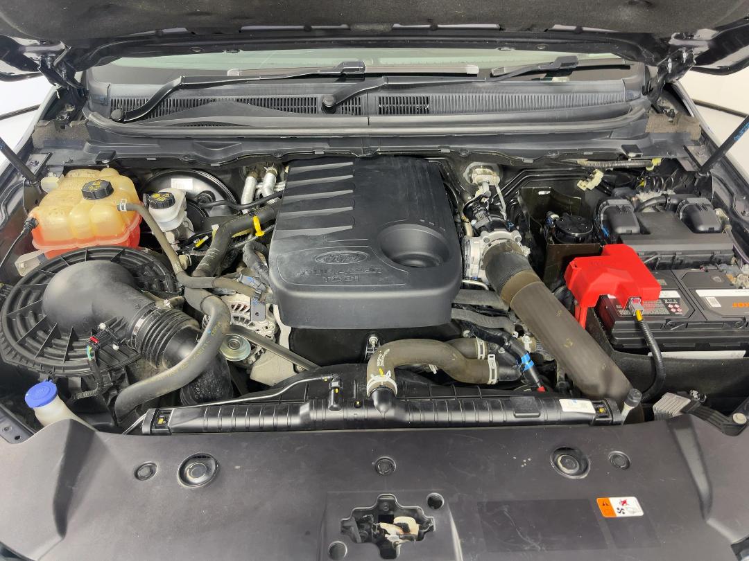 Photo '13' of Ford Ranger