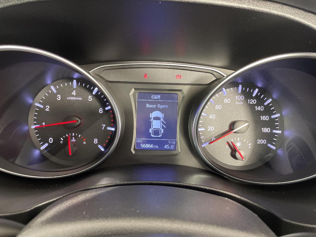 Photo '21' of Great Wall Steed