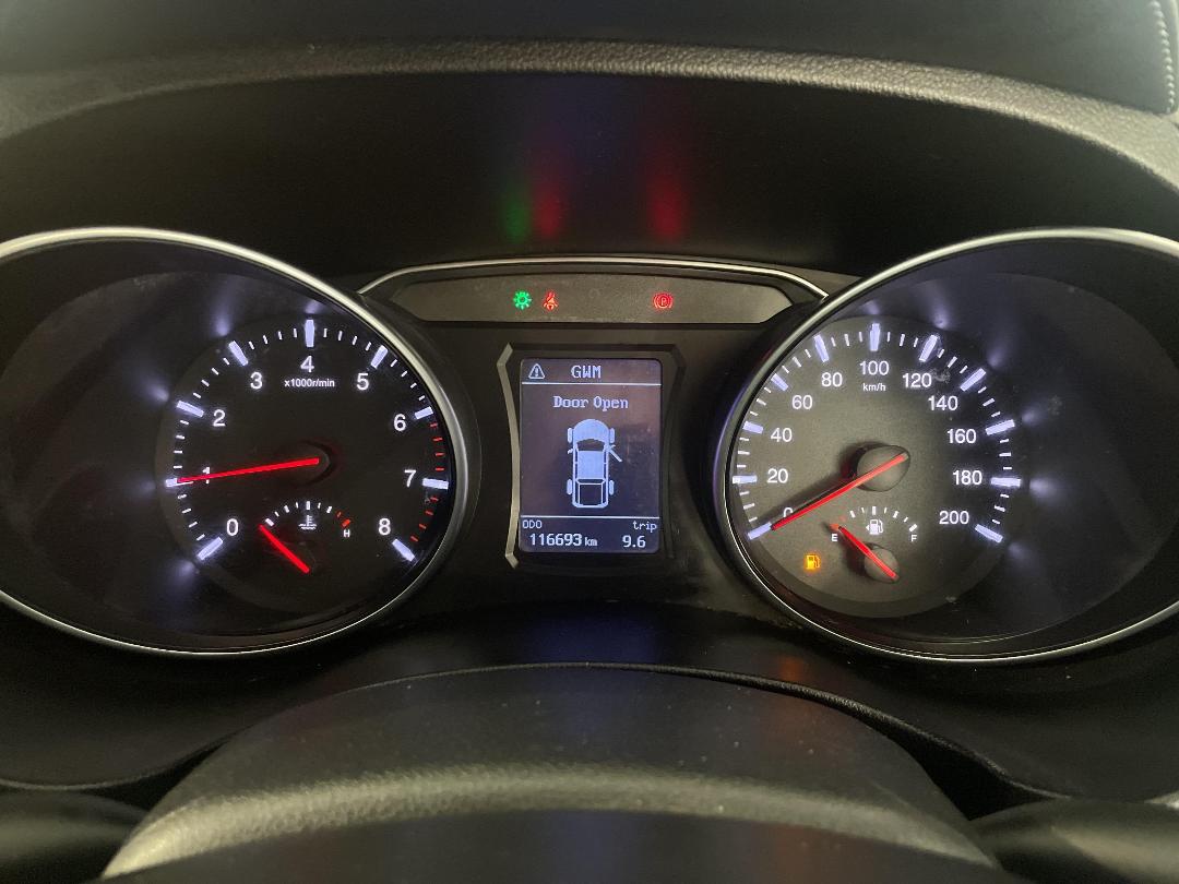 Photo '21' of Great Wall Steed