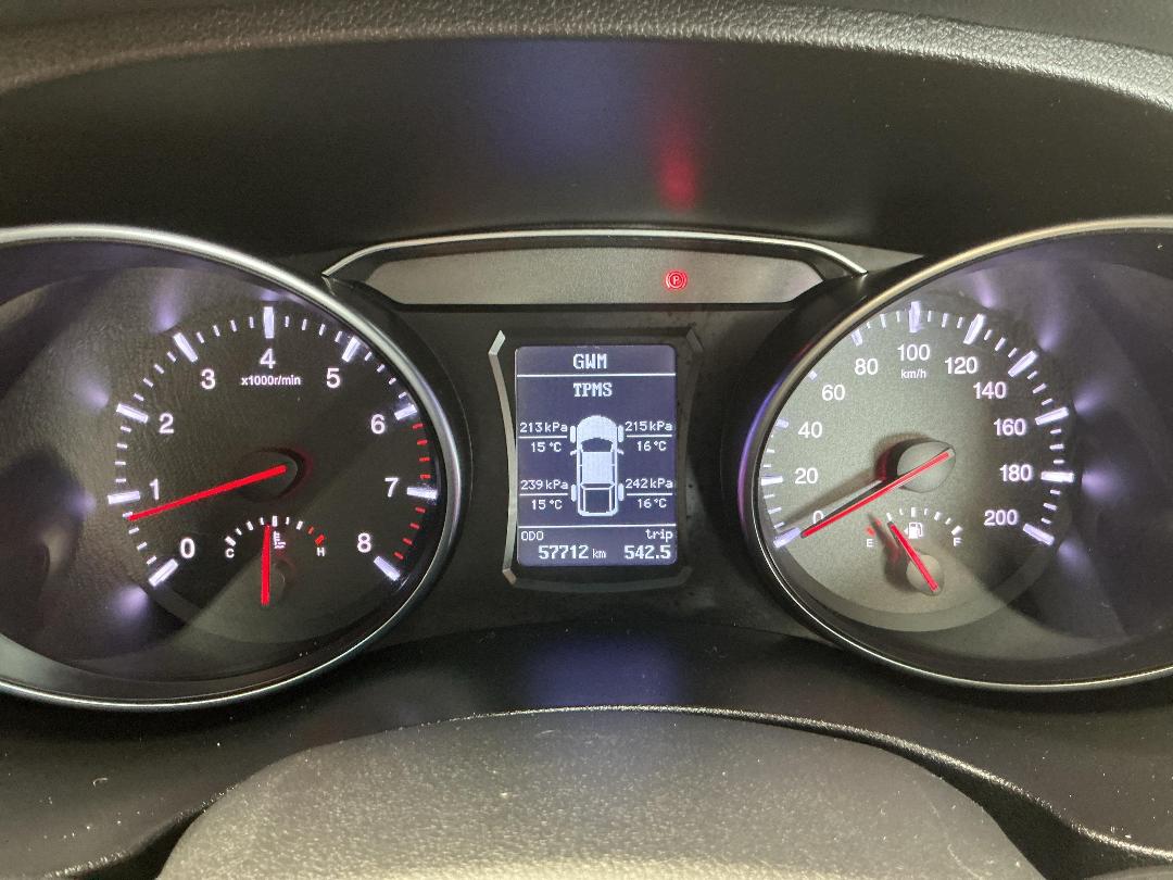 Photo '21' of Great Wall Steed