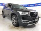 Thumbnail '1' of Holden Acadia