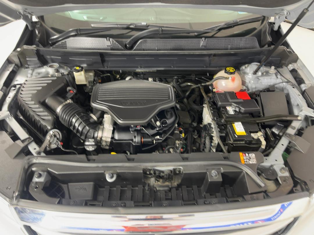 Photo '13' of Holden Acadia