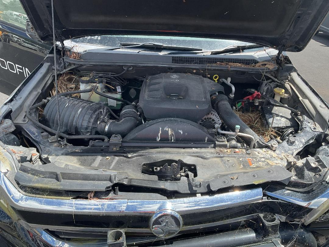 Photo '10' of Holden Colorado LTZ DC PU