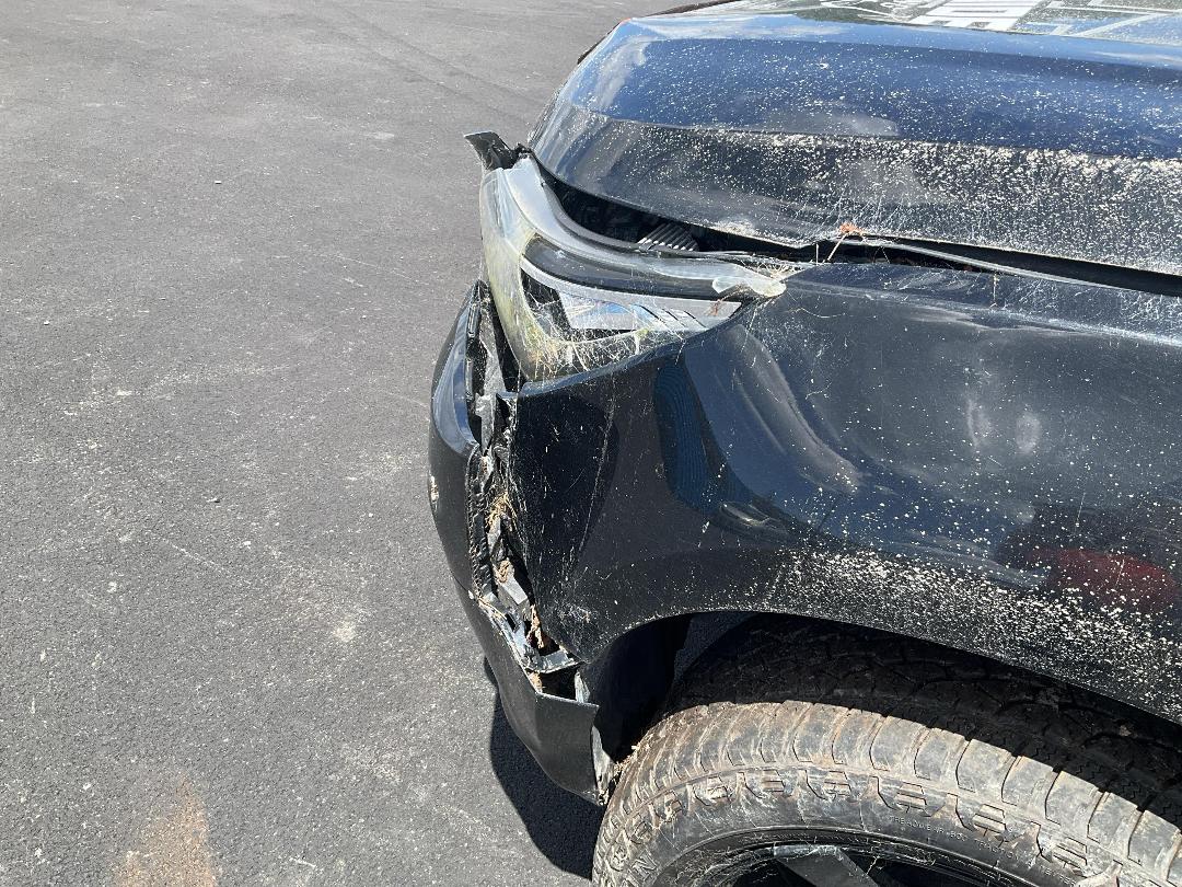 Photo '9' of Holden Colorado LTZ DC PU