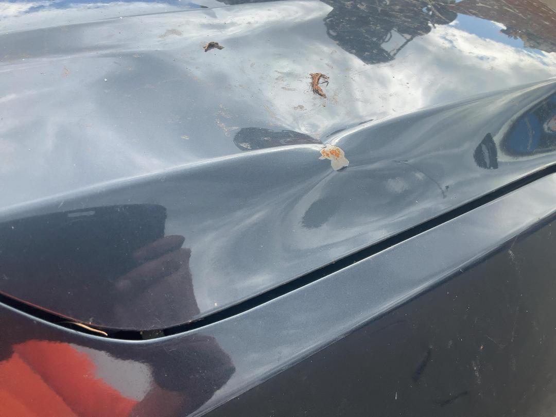 Photo '8' of Holden Colorado LTZ DC PU Photo '8' of Holden Colorado LTZ DC PU