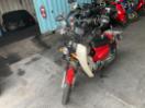 Thumbnail '4' of Honda C 110X