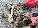 Thumbnail '19' of Honda TRX500