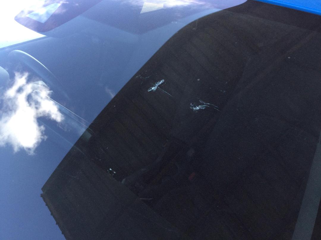 Photo '11' of Toyota Corolla GX