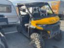 Thumbnail '1' of Can-Am Defender HD10 DPS