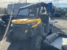 Thumbnail '2' of Can-Am Defender HD10 DPS