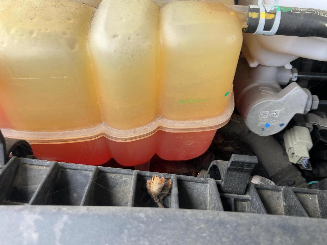 Photo '11' of Ford Everest Sport