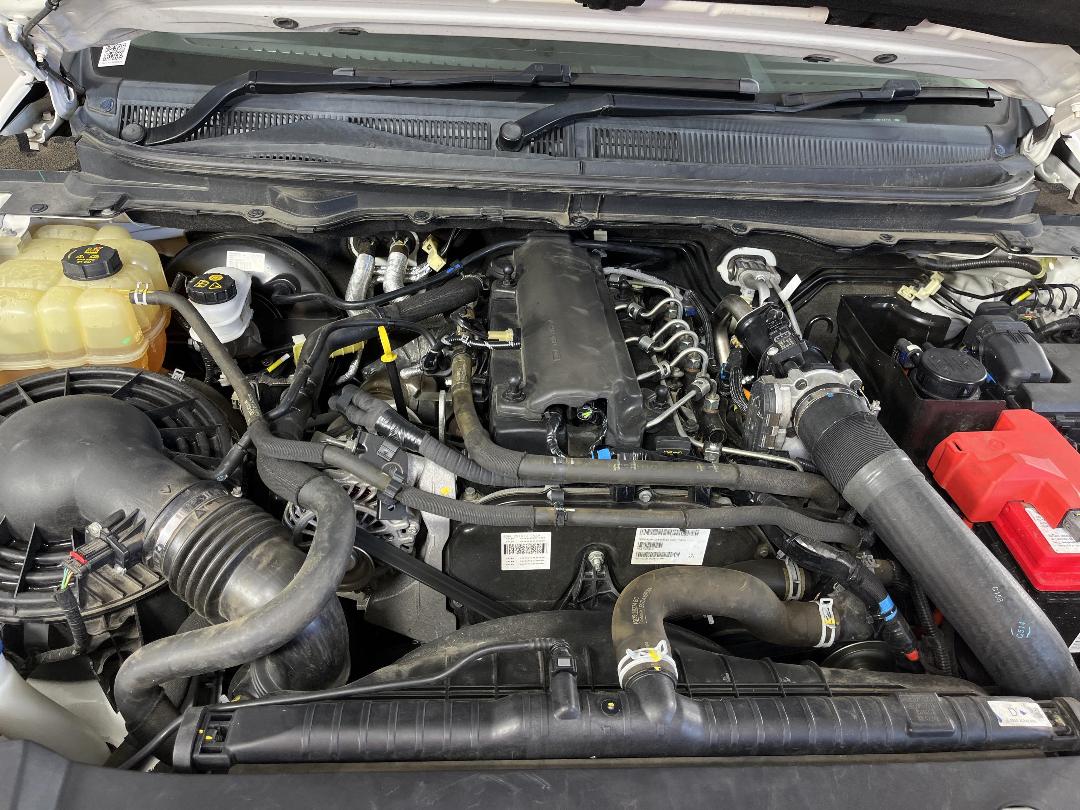 Photo '13' of Ford Ranger